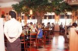  Restaurant aap kindvriendelijk