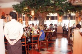  Restaurant aap kindvriendelijk