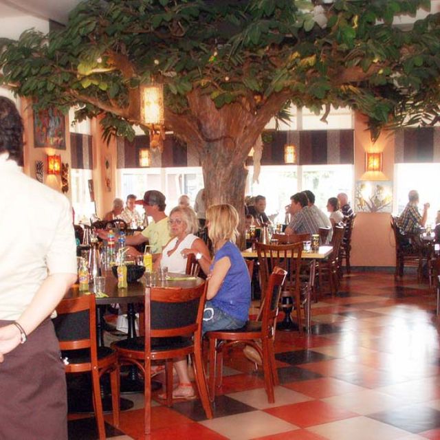  Restaurant aap kindvriendelijk